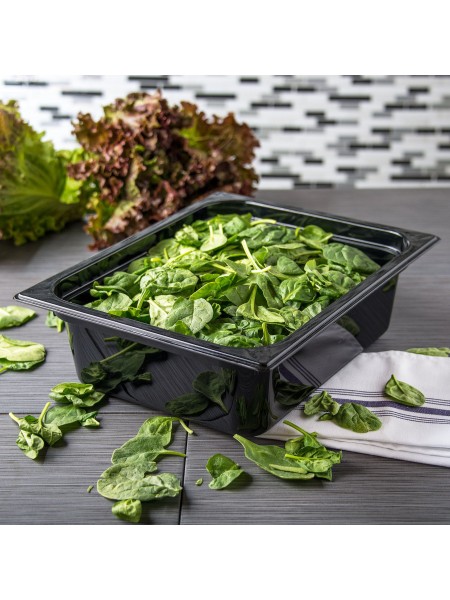 Гастроемкость 1/2-100 (32х26х10 см) цвет черный, поликарбонат, Dali Group. (152100)