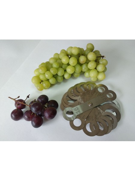 Калибратор веерный для ягод и фруктов, 18 колец, 15-32 мм, шаг 1 мм, нерж.сталь, АСК. (1532-18)