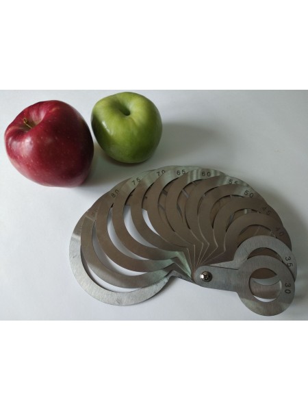 Калибратор веерный круглый для фруктов и овощей, 13 колец, 30-90, шаг 5 мм, нерж.сталь, АСК. (3090-13) (3090-13)