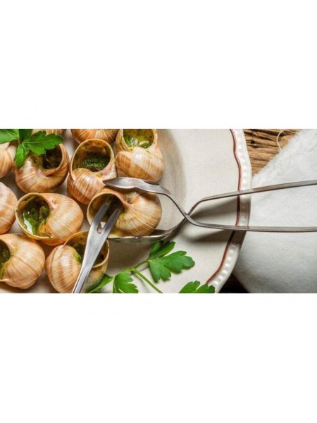 Щипцы для улиток, нержавеющая сталь, Dali Group. (368020)