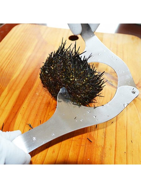 Нож для вскрытия морских ежей, 6х23 см, нержавеющая сталь, Paderno. (48286-68)