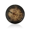 Тарелка круглая d=21 см, фарфор, серия Kolezyum, By Bone. (81229331)