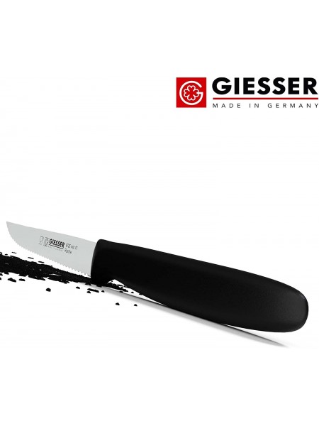 Нож для стейка, 11 см, ручка пп, Giesser. (8725 wsp 11)